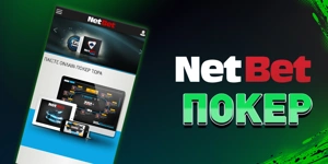 Article Card Image for Netbet Poker